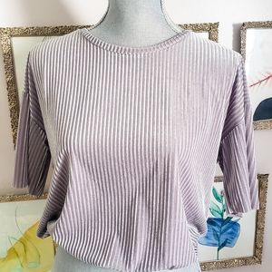 Zara crop velvet top